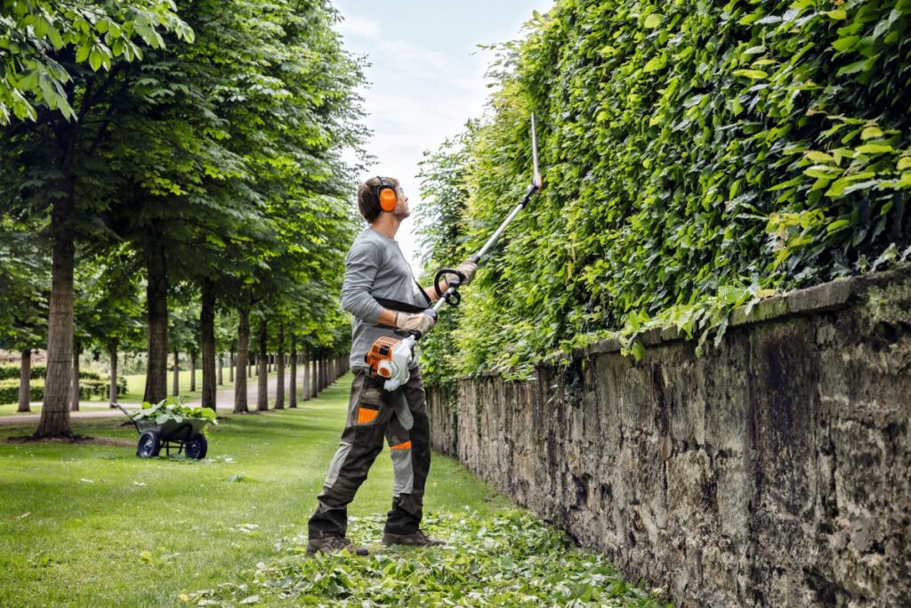 hedge cutting