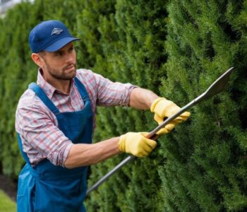 hedge maintenance