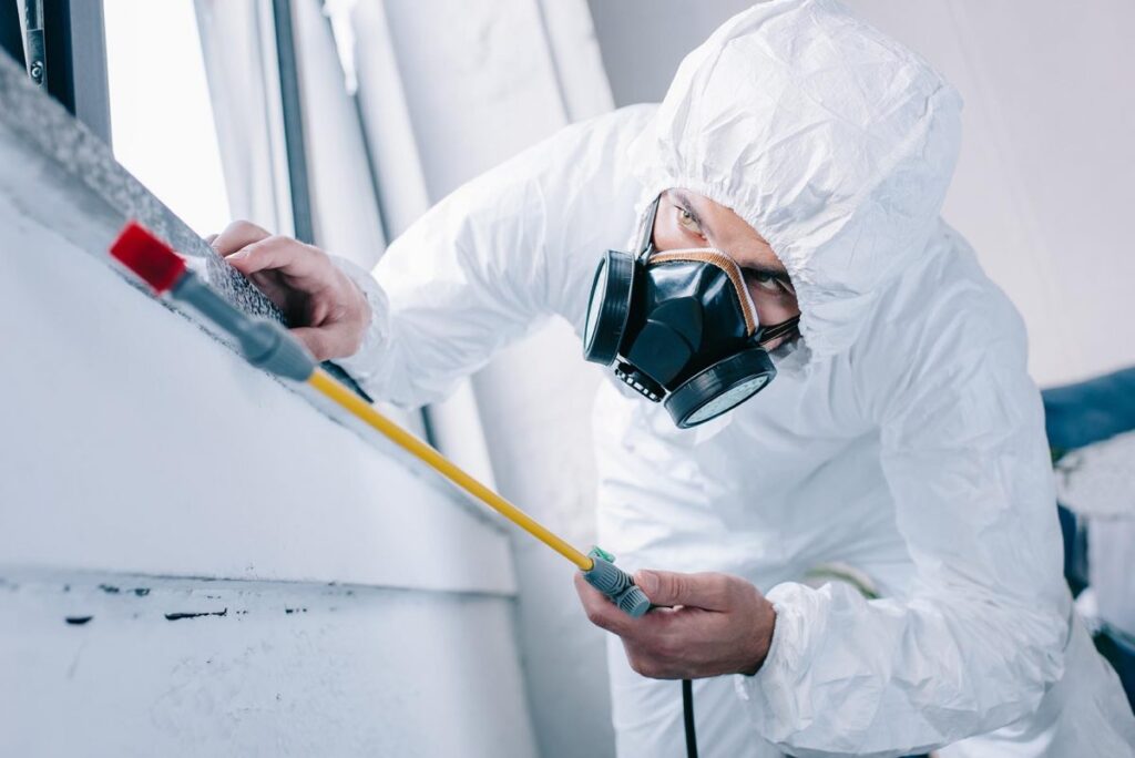 Affordable and Reliable Pest Control Companies in Sydney