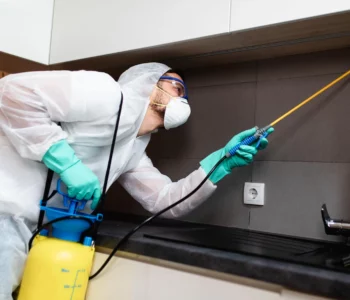 Affordable and Reliable Pest Control Companies in Sydney